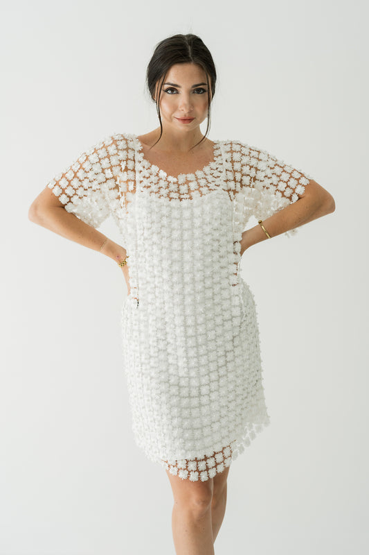 River Pearl Crochet Mini Dress