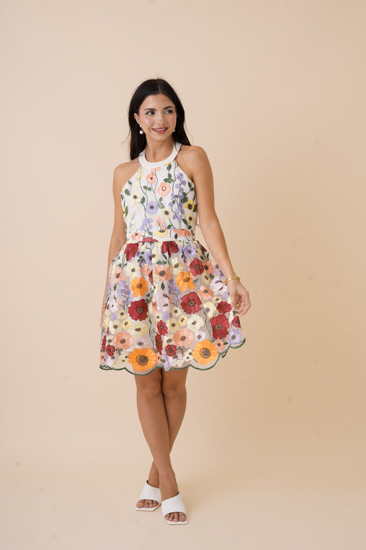 Evelyn Floral Multi Color Dress