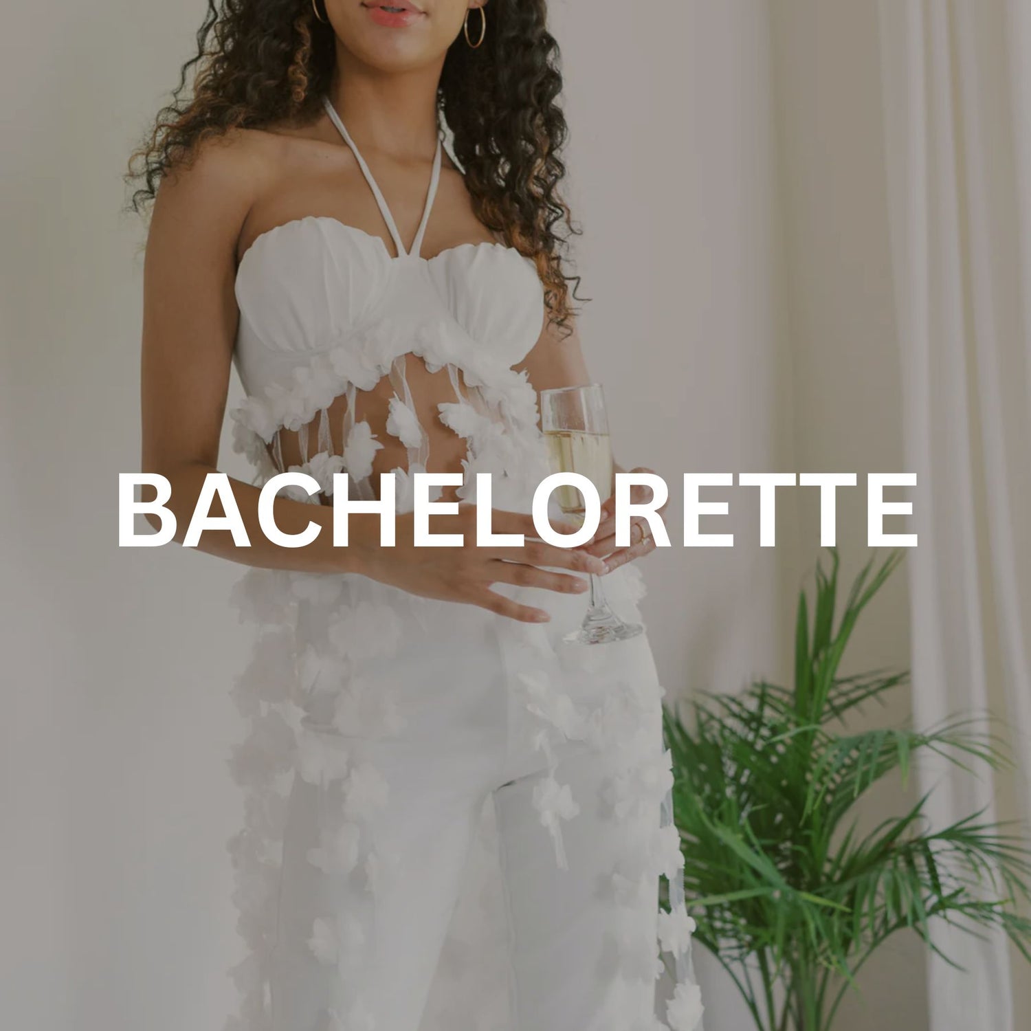 Collections Little White Dress Collections Little White Dress