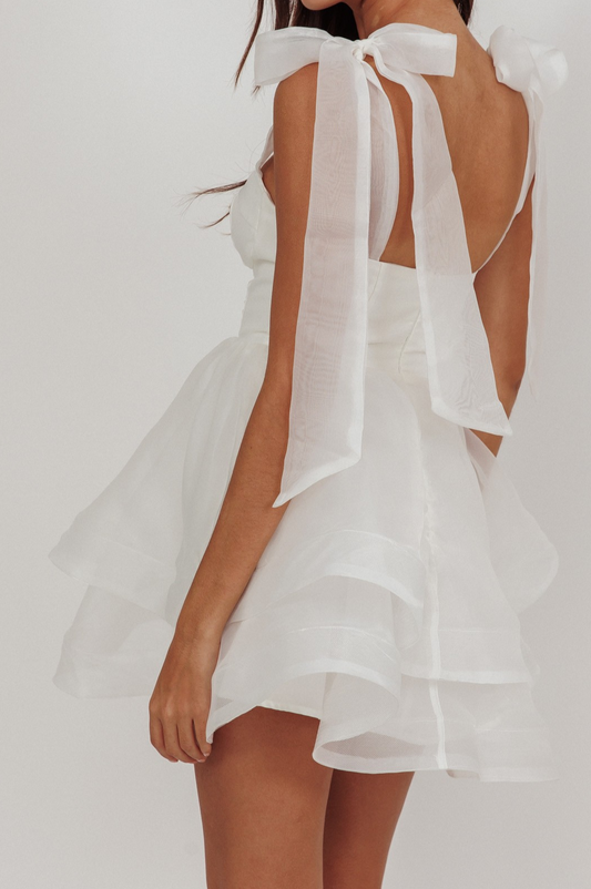 Organza Tie Mini Dress
