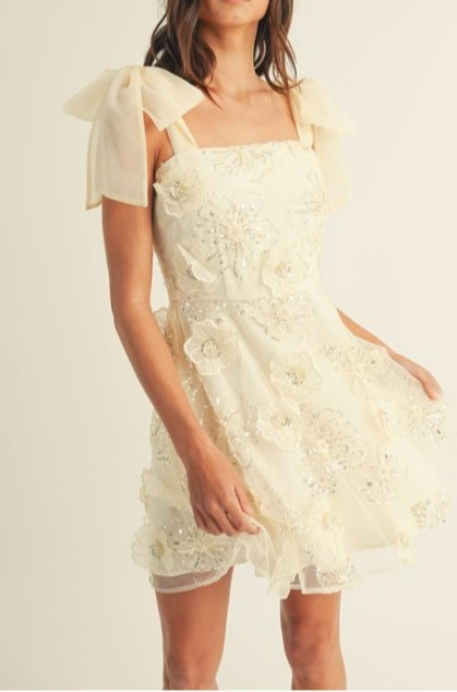Ada Cream Embroidered Mini Dress