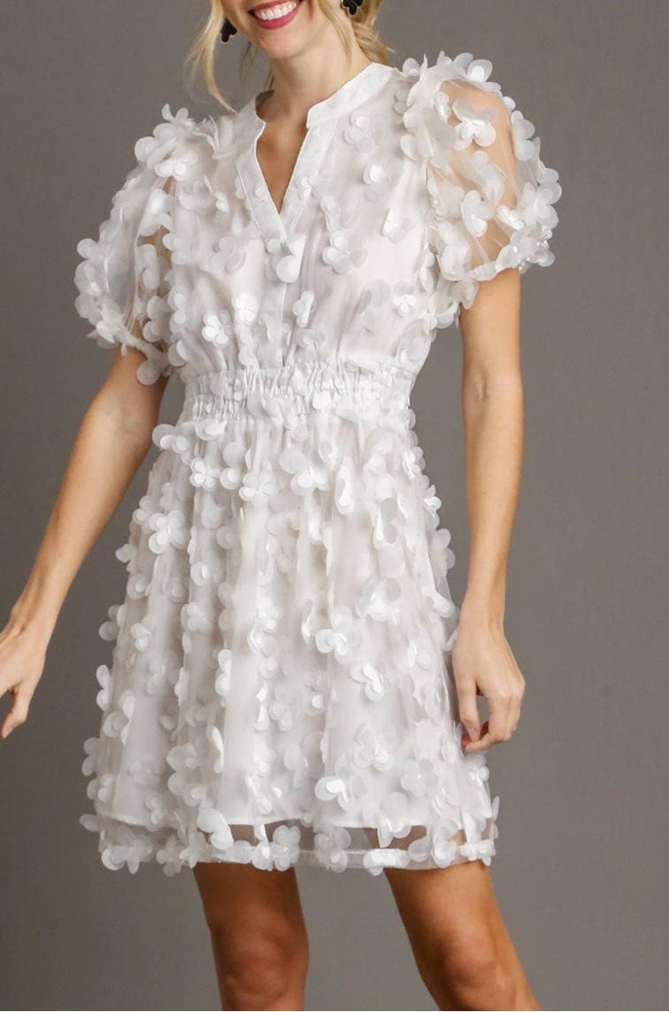 Butterfly Organza Mini Dress L Butterfly Organza Mini Dress L