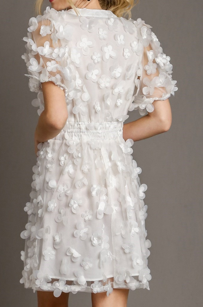 Butterfly Organza Mini Dress L Butterfly Organza Mini Dress L