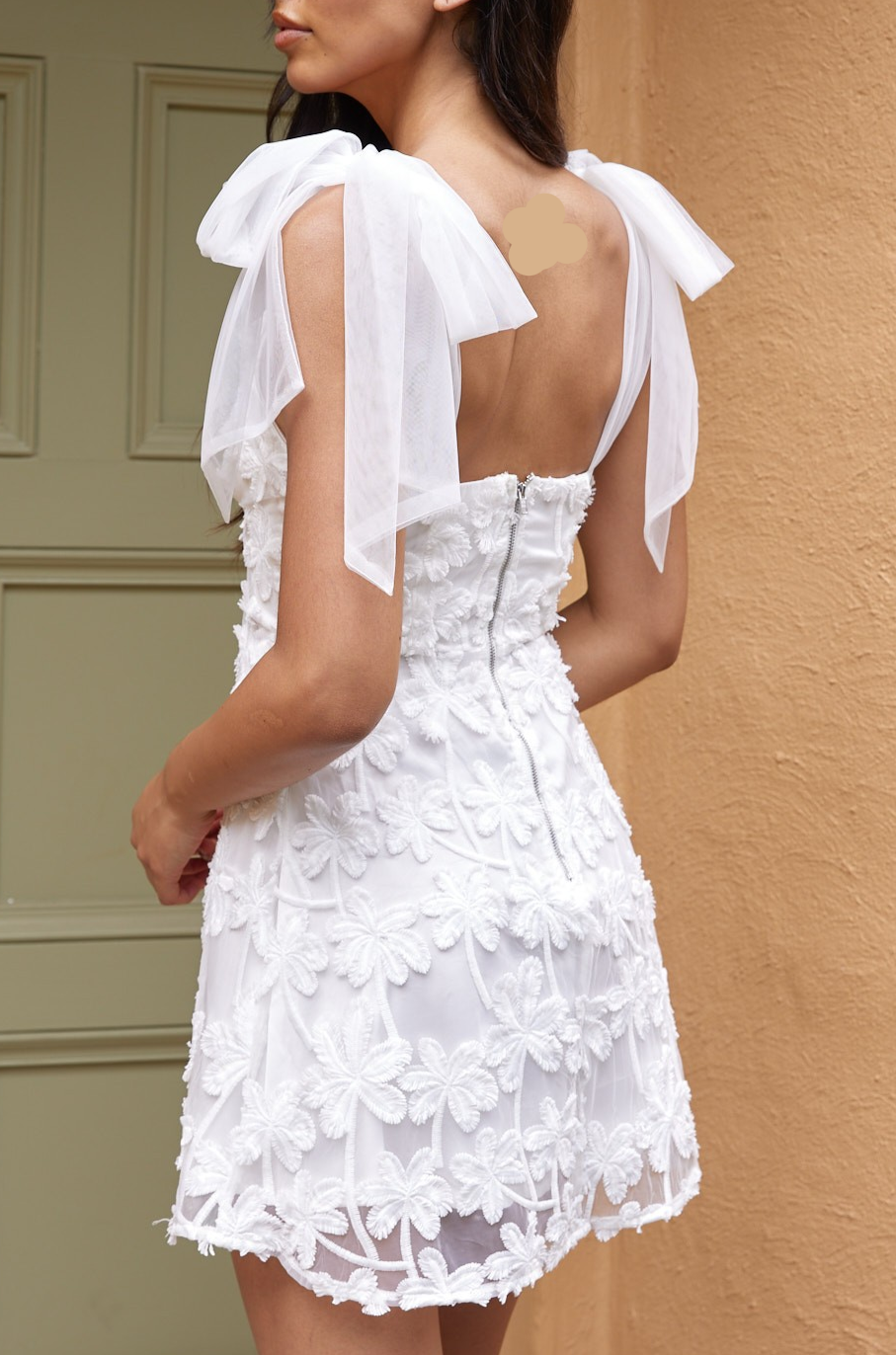Laina Embroidered Mini Dress – Little White Dress
