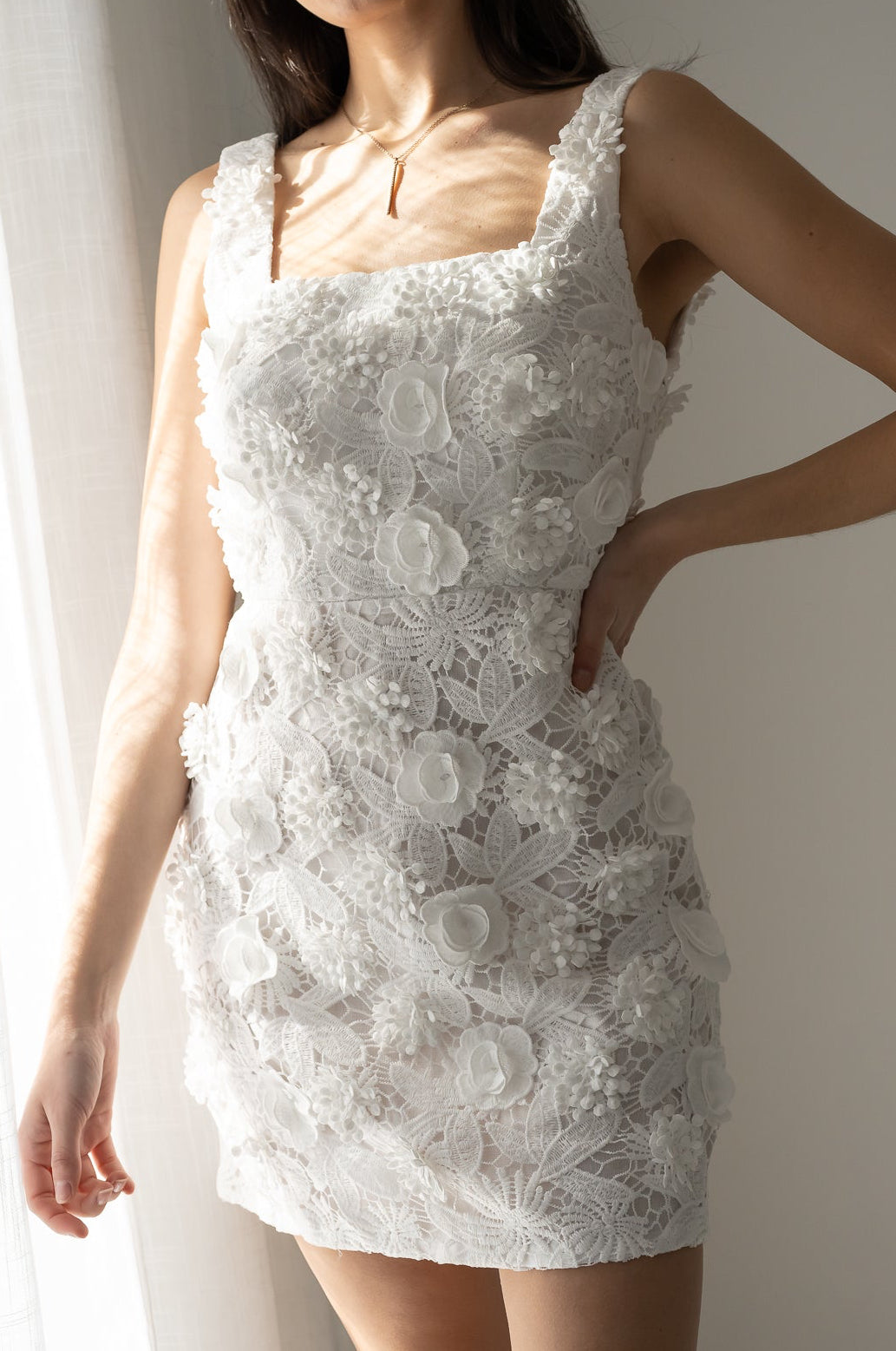 embroidered lace mini dress Embroidered Lace Mini Dress